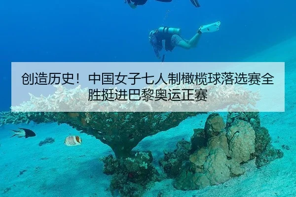 创造历史！中国女子七人制橄榄球落选赛全胜挺进巴黎奥运正赛